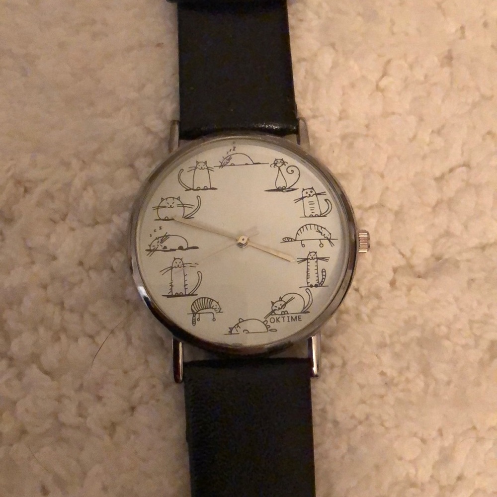 Cats watch
